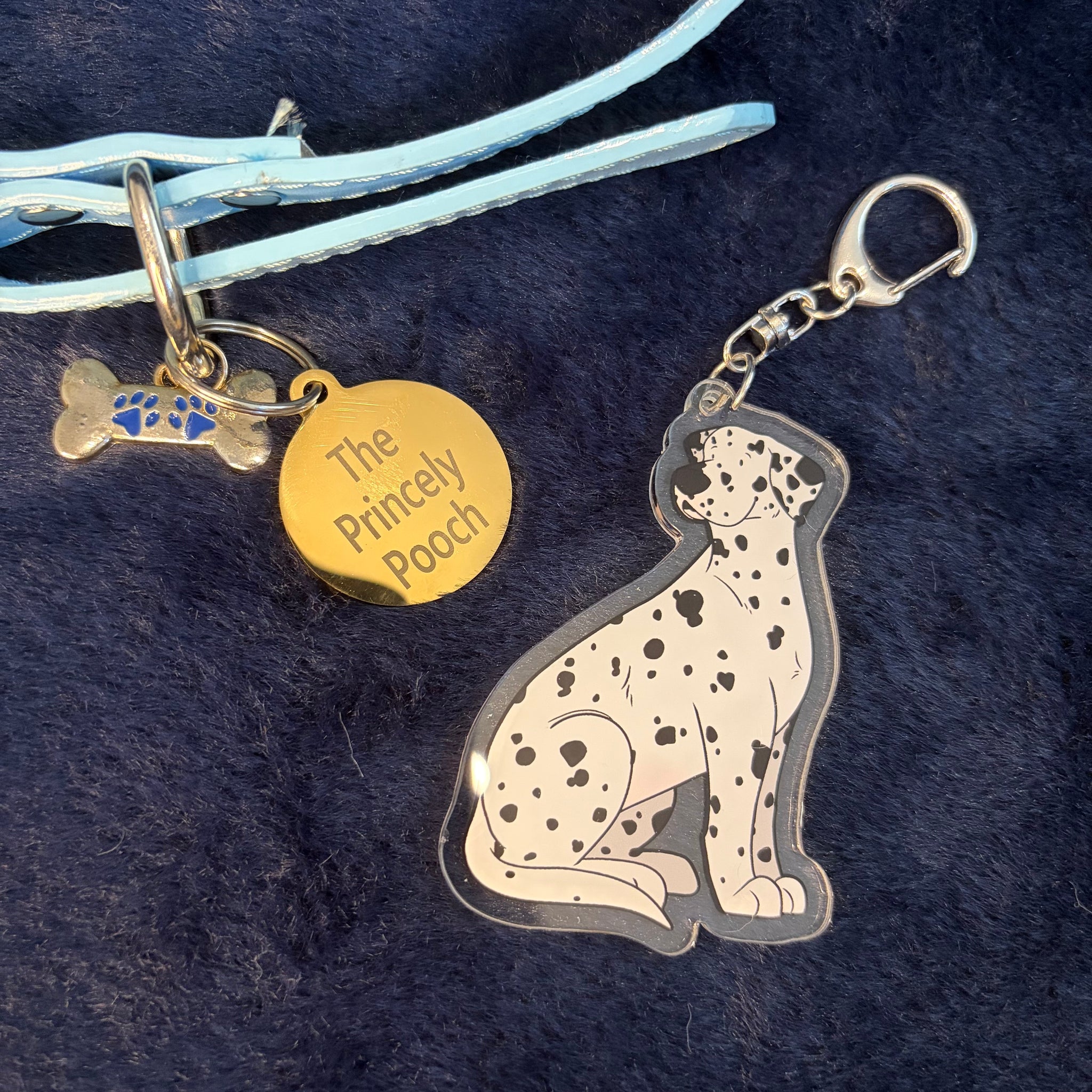 Dalmatian