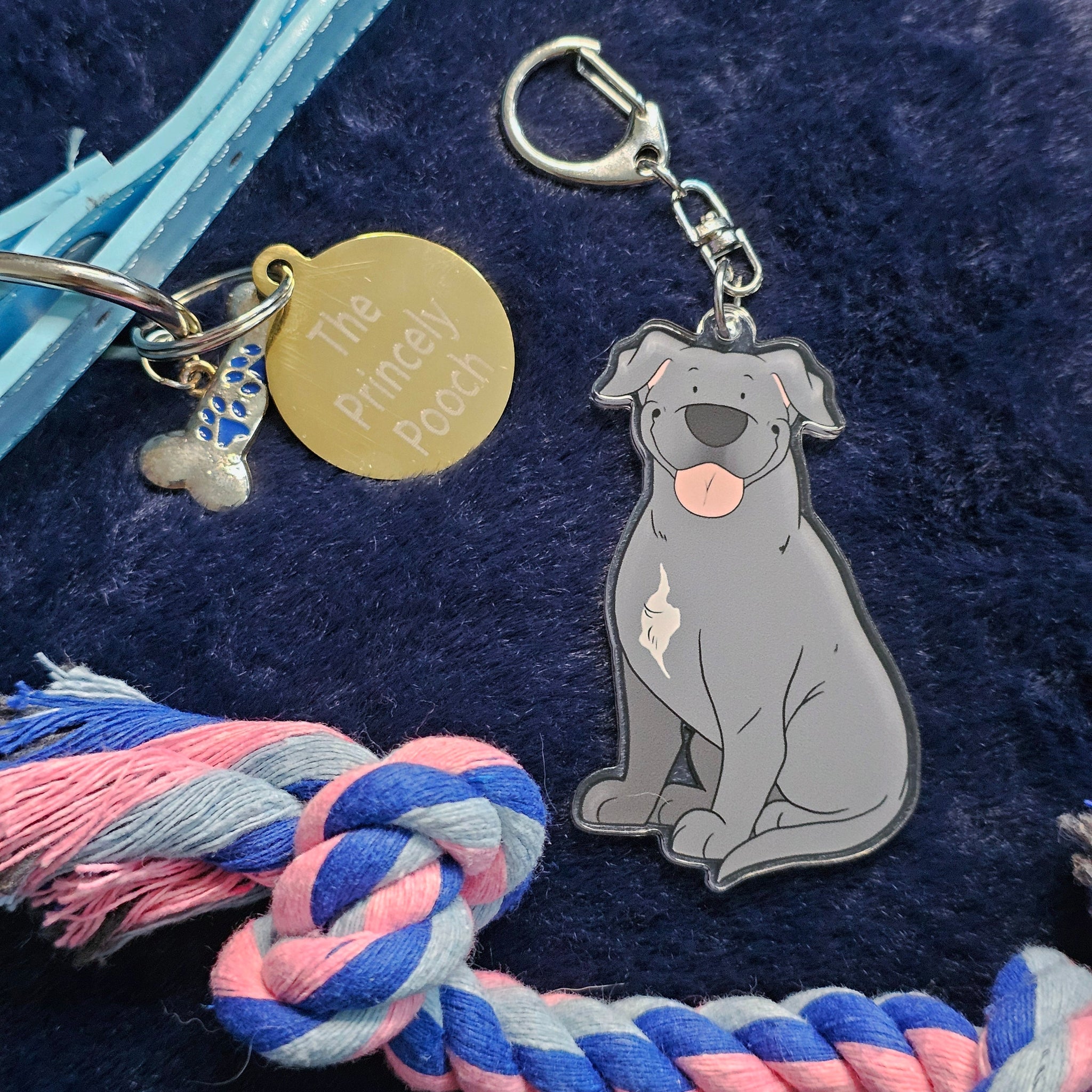 Staffordshire Bull Terrier