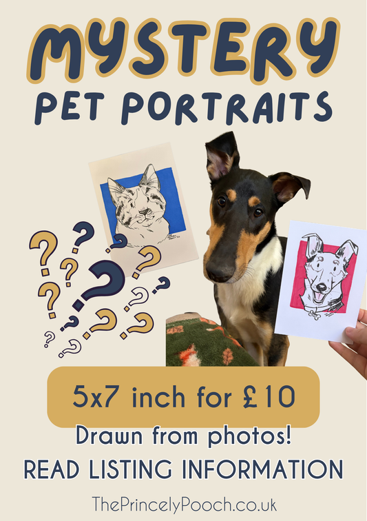 Mystery 5x7 Pet Portrait
